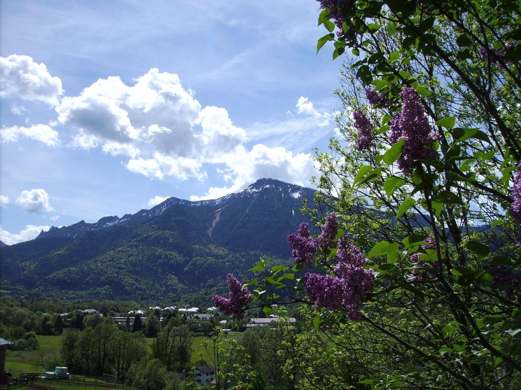 Leitnerhof Hotel Bad Reichenhall Exterior photo